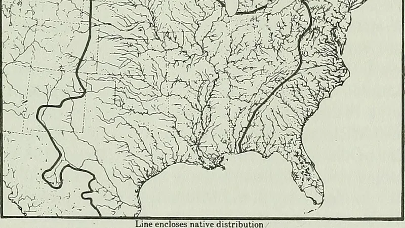 Pylodictis olivaris range map.jpg