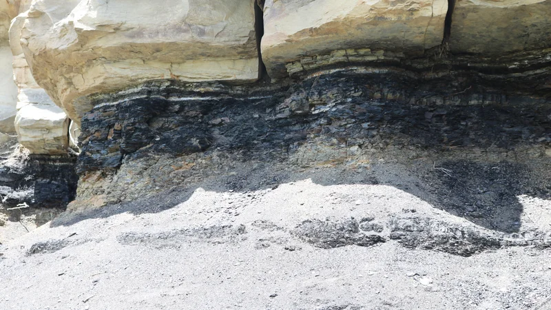 Cretaceous–Paleogene boundary in Colorado 1.JPG