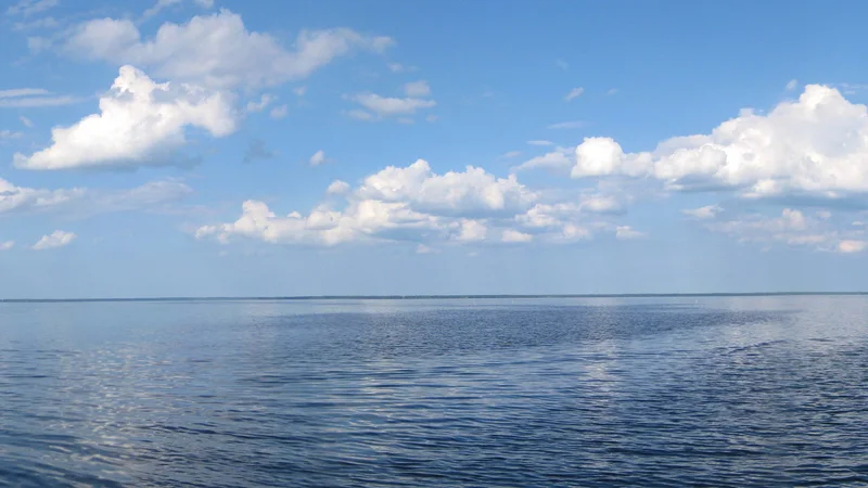 Lake George, Florida - Panoramic.jpg
