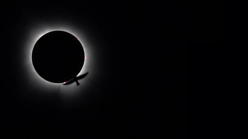 2024 eclipse - bird transits during totality at Kincaid Lake, IL - full image.png