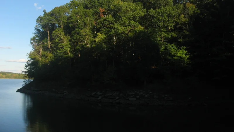 Trees on a Lake Monroe promontory.jpg