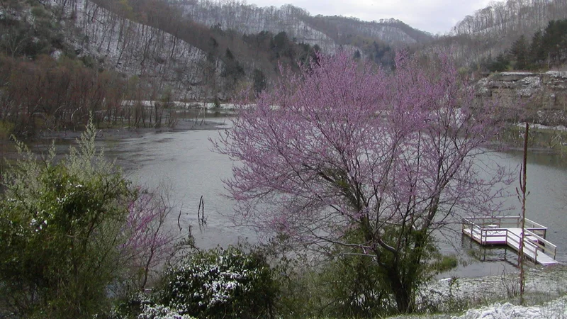 Carr Creek Lake.jpg