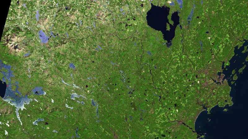 Southern Maine ESA361191.jpg