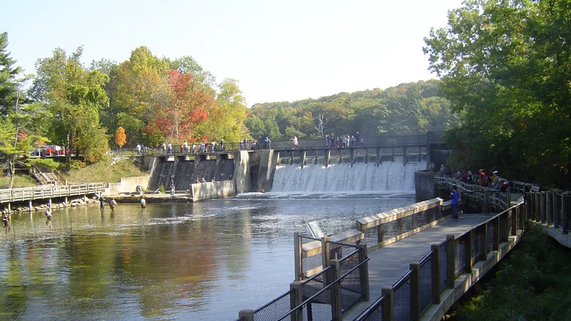 Hamlin Lake Dam1.jpg