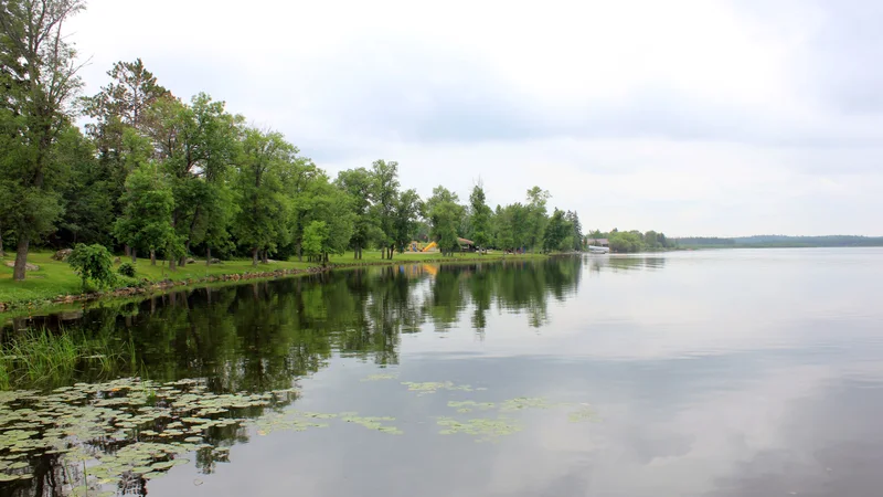 Gfp-minnesota-voyaguers-national-park-shoreline-of-pelican-lake.jpg