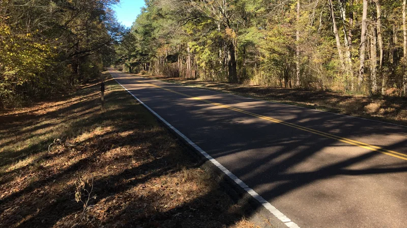 Mississippi highway 301.jpg
