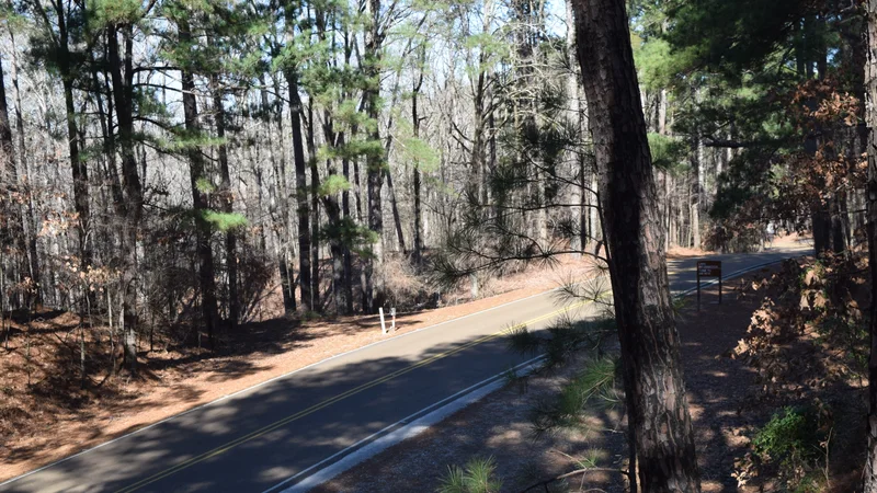 Mississippi Highway 333.jpg