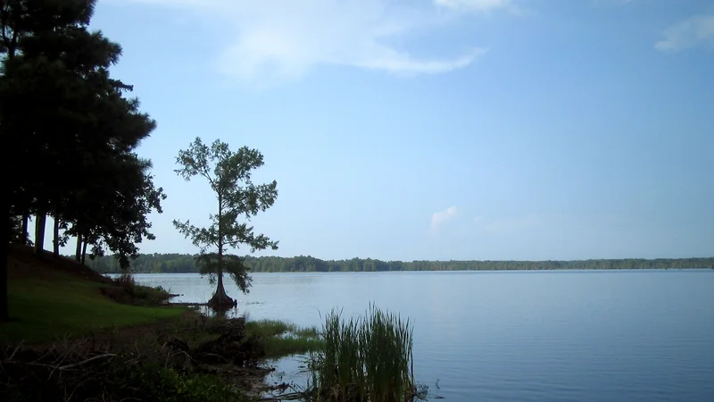 Lake Bogue Homa-kmf.JPG
