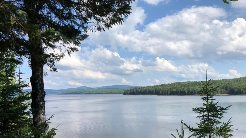 Lake Francis in Pittsburg, New Hampshire, August 2019.jpg