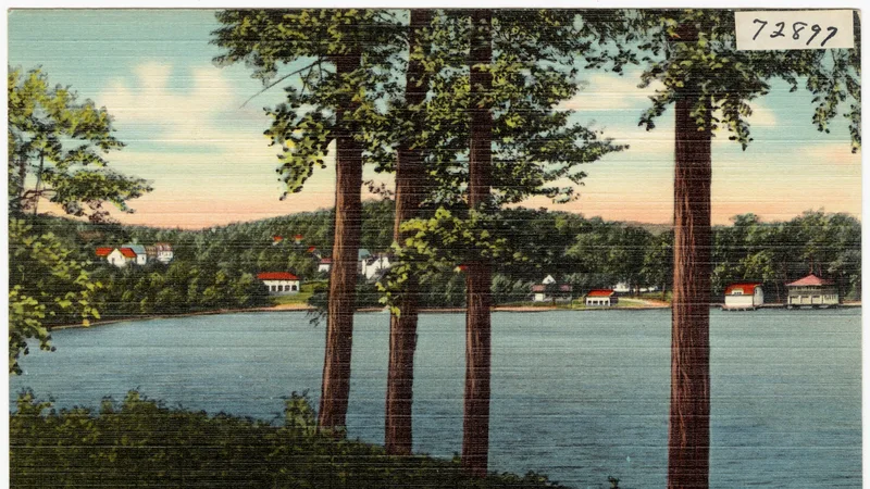 Georges' Mills Coves and part of the village, Lake Sunapee, N.H (72897).jpg