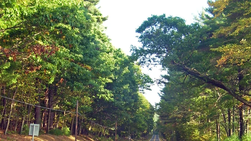 NY 55A along Rondout Reservoir.jpg