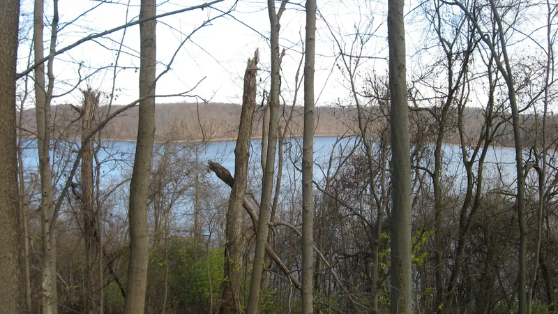 William H. Harsha Lake from wooded area.jpg