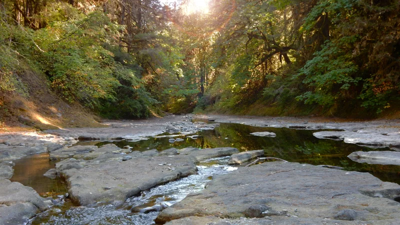 Explore Oregon Recreation- Sharps Creek Recreation Site (32826457545).jpg