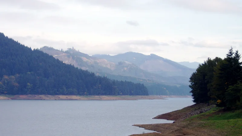 Lookout Point Lake from HWY 58.jpg