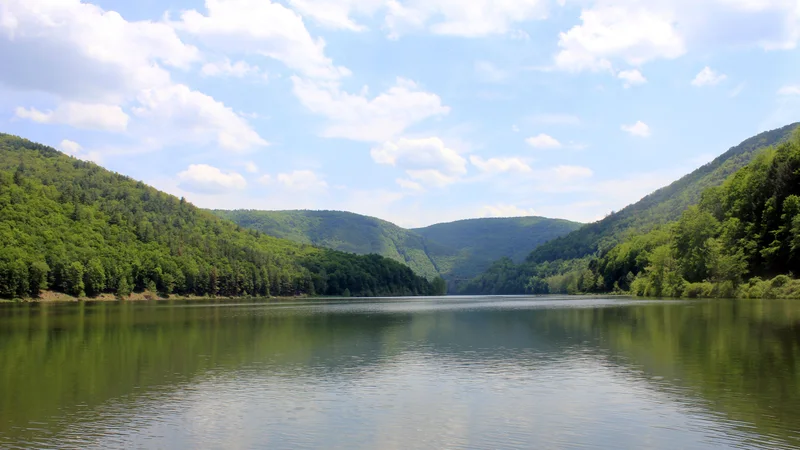 Gfp-pennsylvania-sinnemahoning-state-park-lakeview-of-lake.jpg