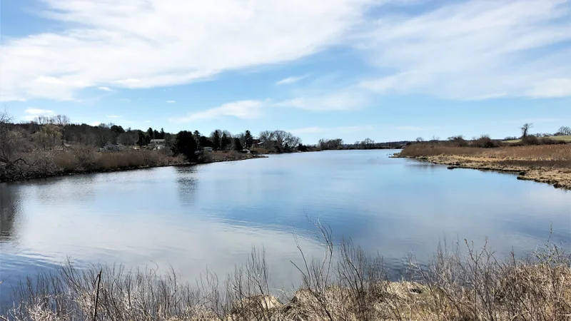 Nonquit Pond from Pond Bridge Road, Tiverton.jpg