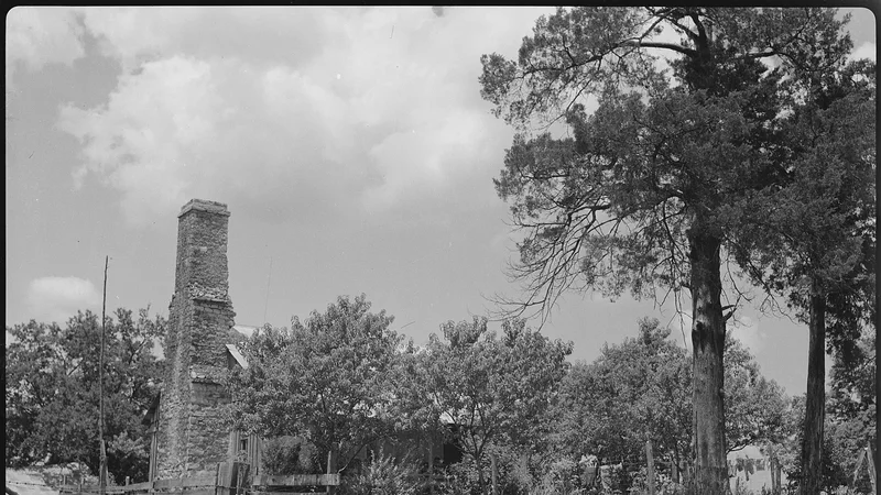 Colbert, George, cabin on his homestead - NARA - 280438.jpg