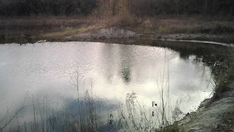 Addicks pond.jpg