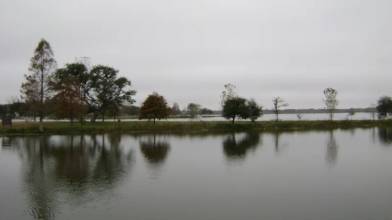 Coleto Creek.jpg