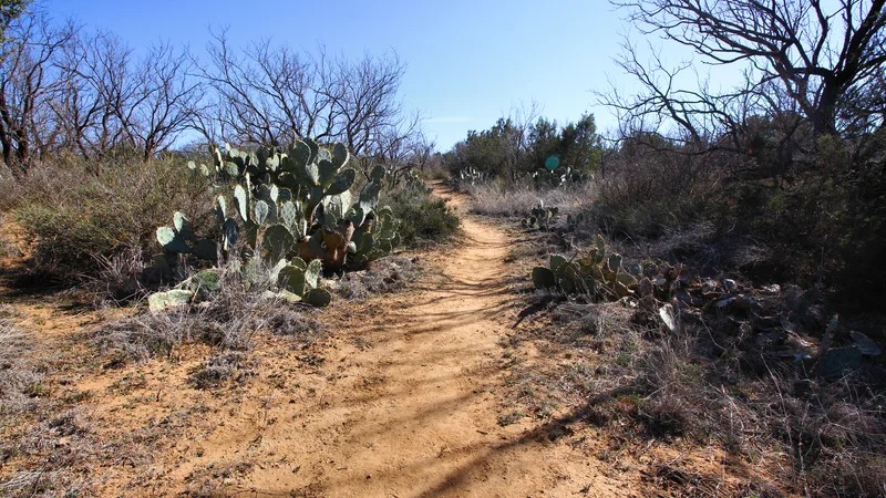 Cactus Cut Trail Lake Colorado City SP Texas 2023.jpg