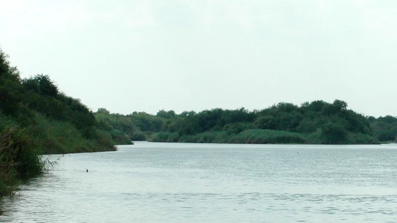 Rio Grande SE of Falcon Reservoir, Municipality of Mier, Tamaulipas, Mexico (12 August 2007).jpg