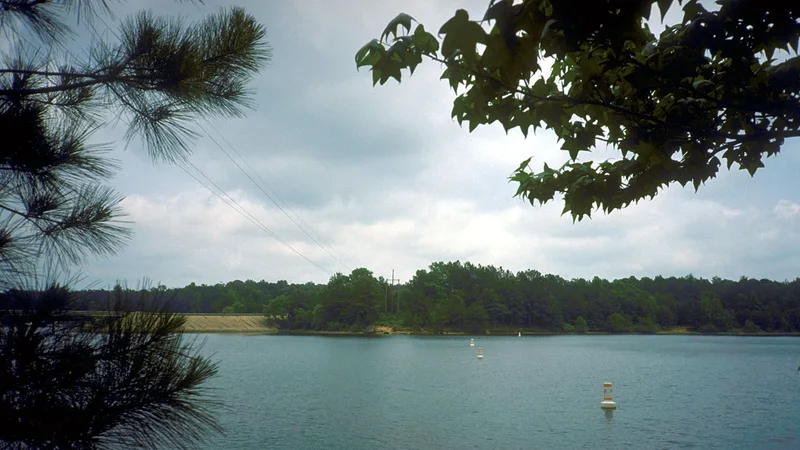 Lake O the Pines Texas.jpg