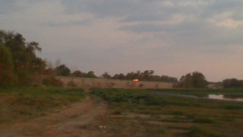 Lake Palestine drought image Summer 2011.jpg