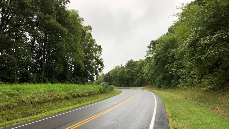 2019-08-23 15 33 30 View north along U.S. Route 522 (Zachary Taylor Highway) just north of Lake Anna in Holladay, Spotsylvania County, Virginia.jpg