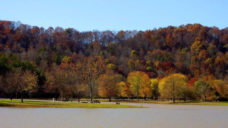 Beech Fork State Park Lake.jpg
