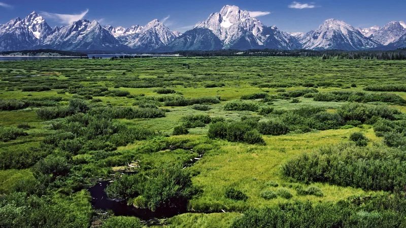 Jackson Lake in Grand Teton National Park.