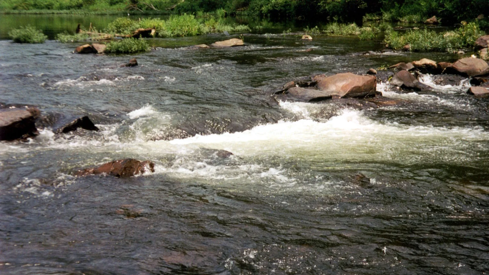 Cossatot River Arkansas.jpg