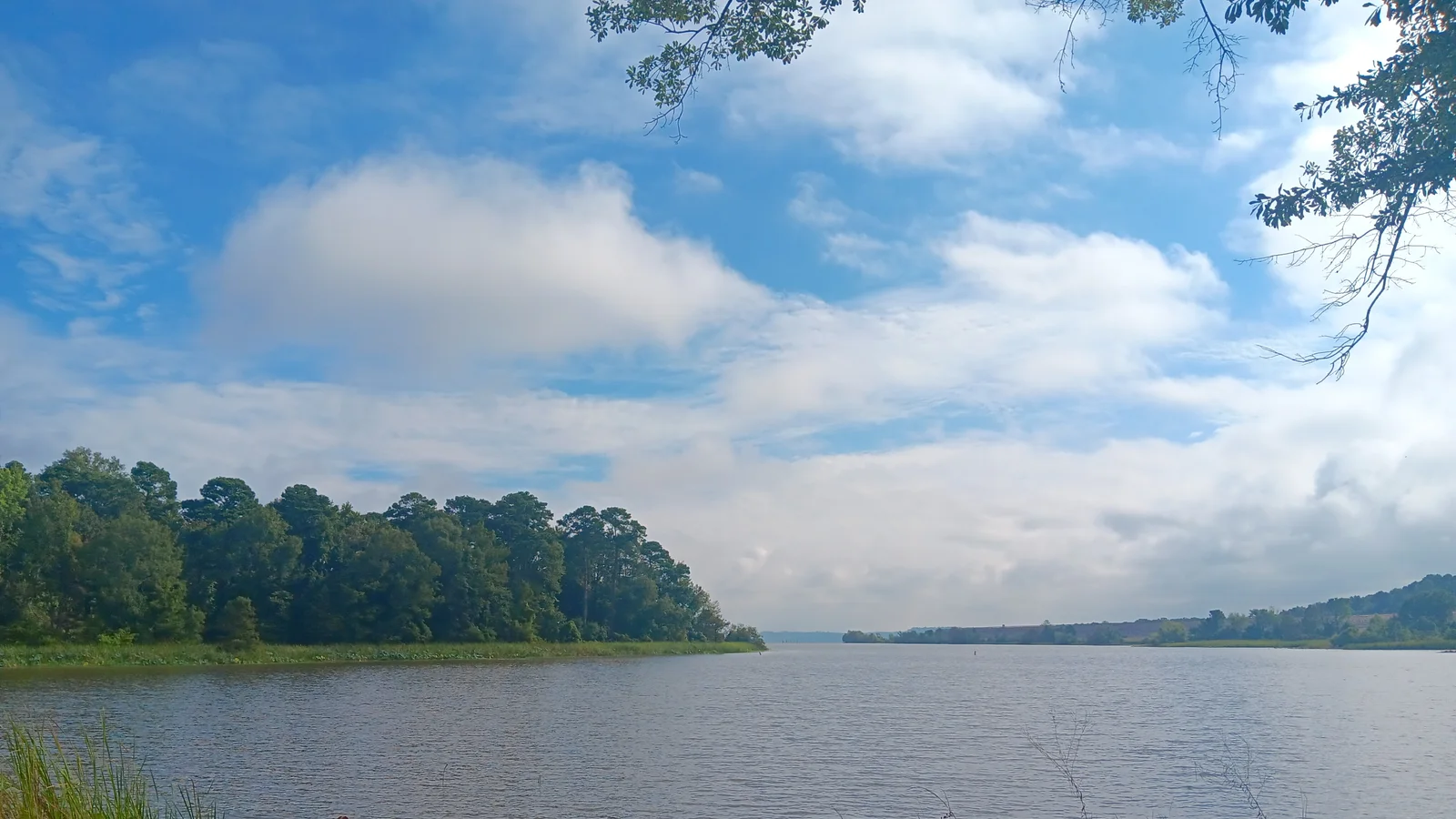 Millwood State Park 001.jpg