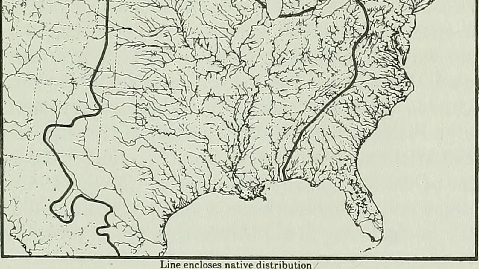 Pylodictis olivaris range map.jpg