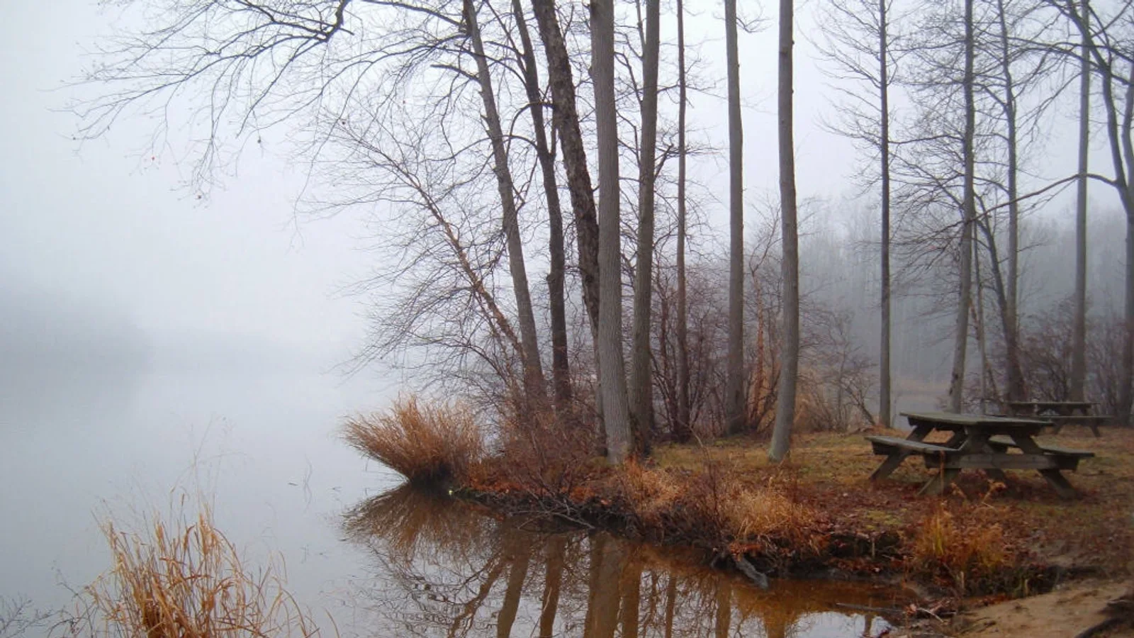 Lums Pond State Park, Delaware.