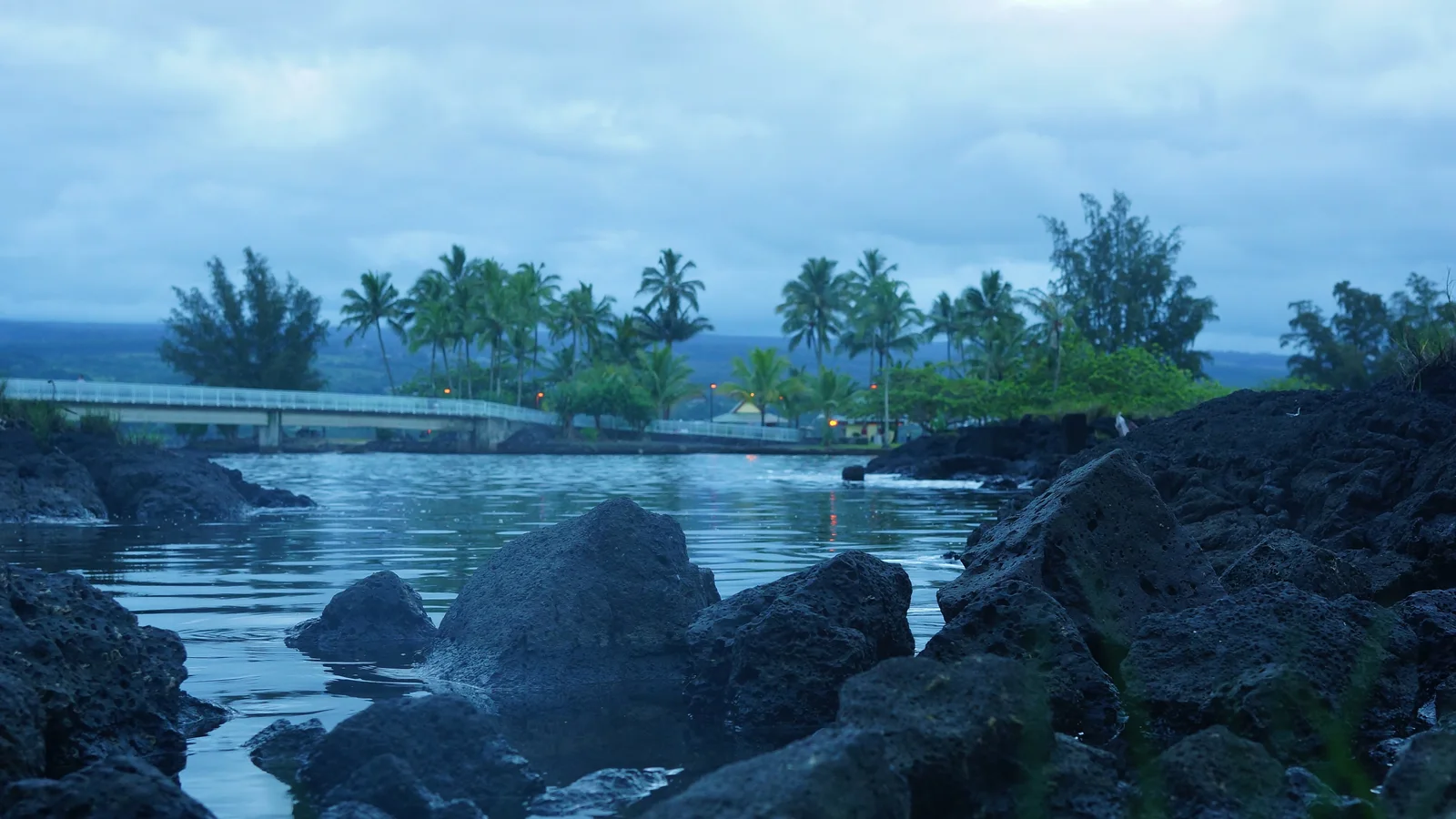 Waiakea Pond-Hilo ≡ Eric Tessmer, Molokai, Hawaii - panoramio.jpg