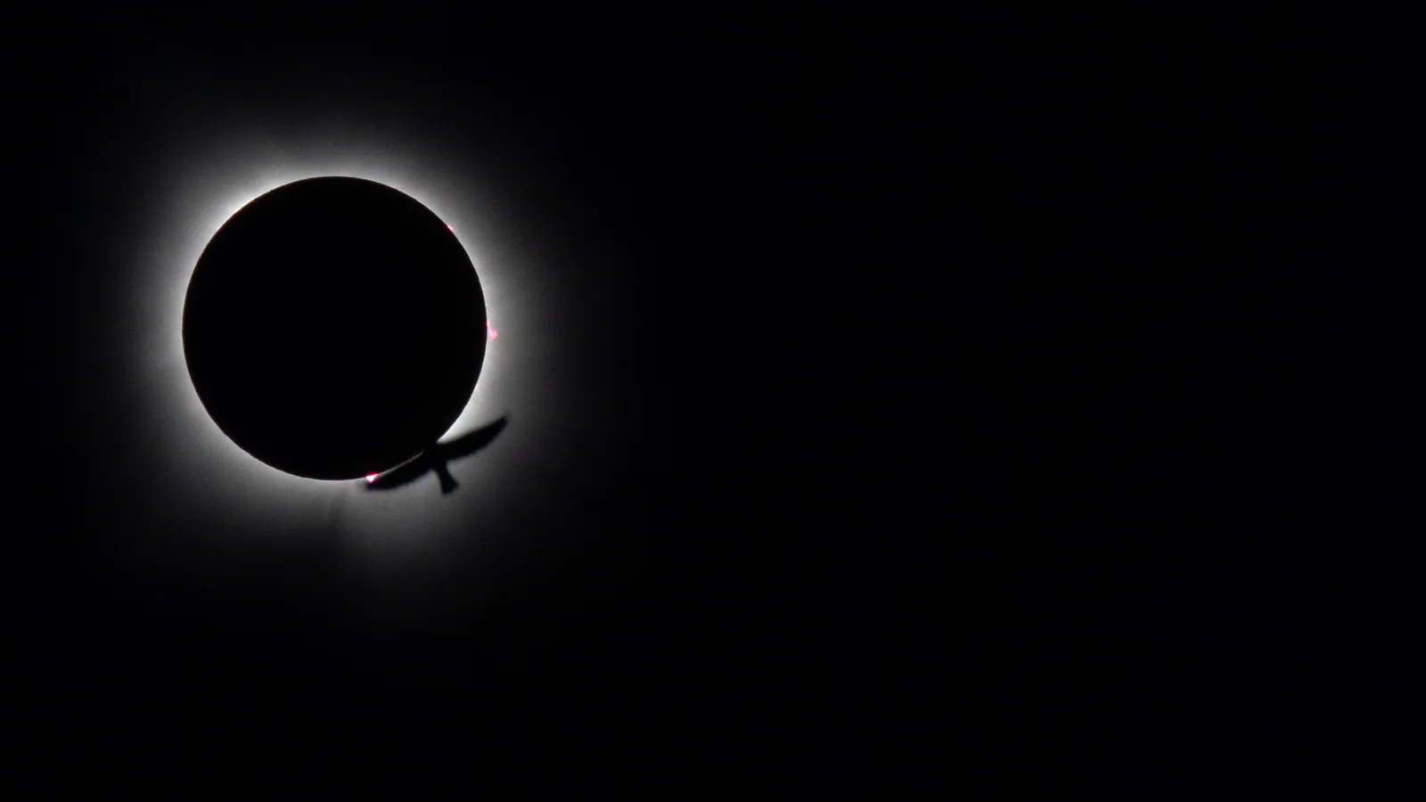 2024 eclipse - bird transits during totality at Kincaid Lake, IL - full image.png