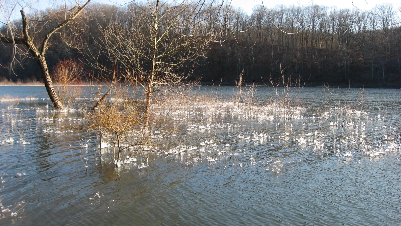 Lake Monroe from Clear Creek Township, Indiana.