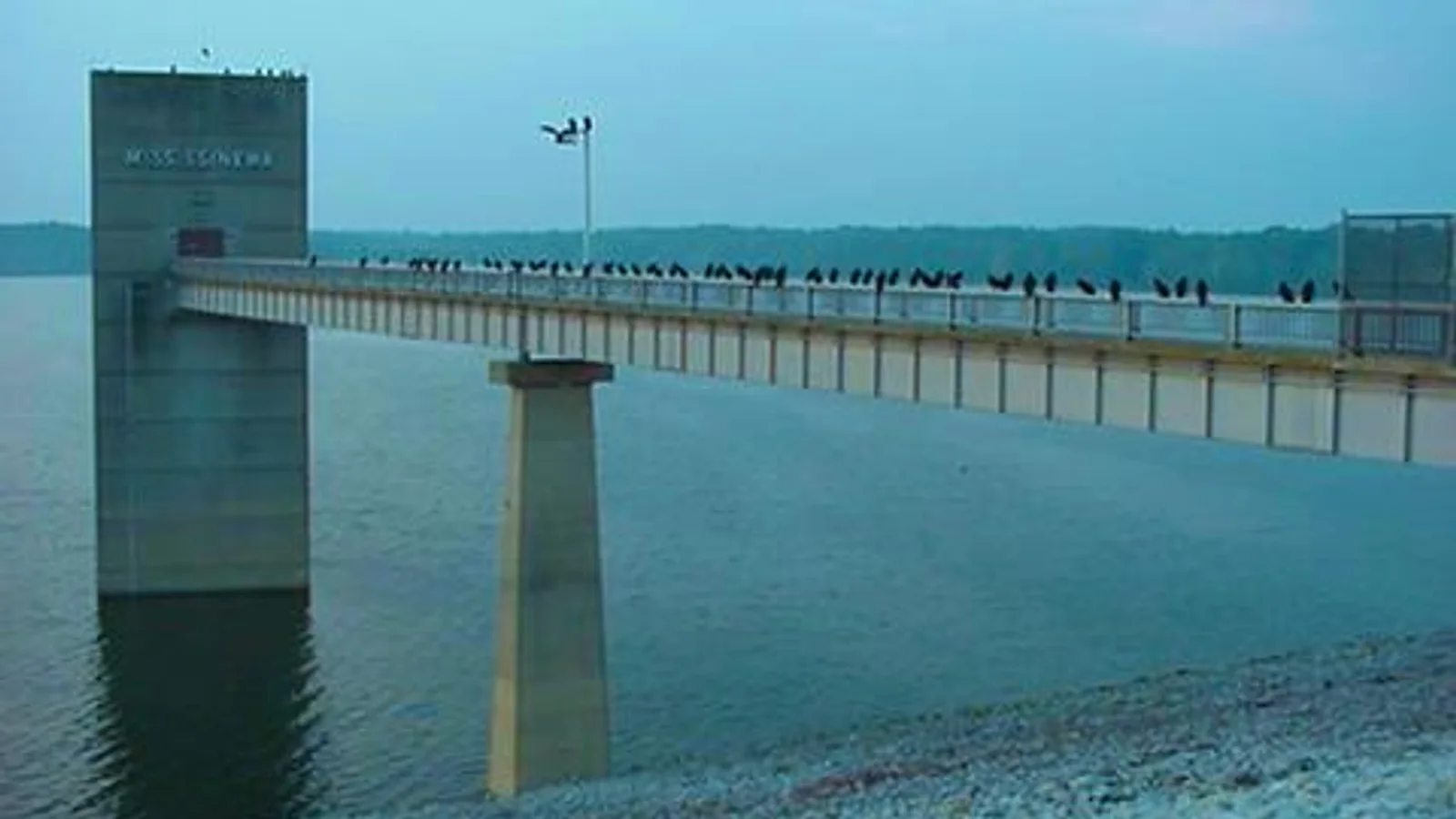 Mississinewa Lake Dam.jpg