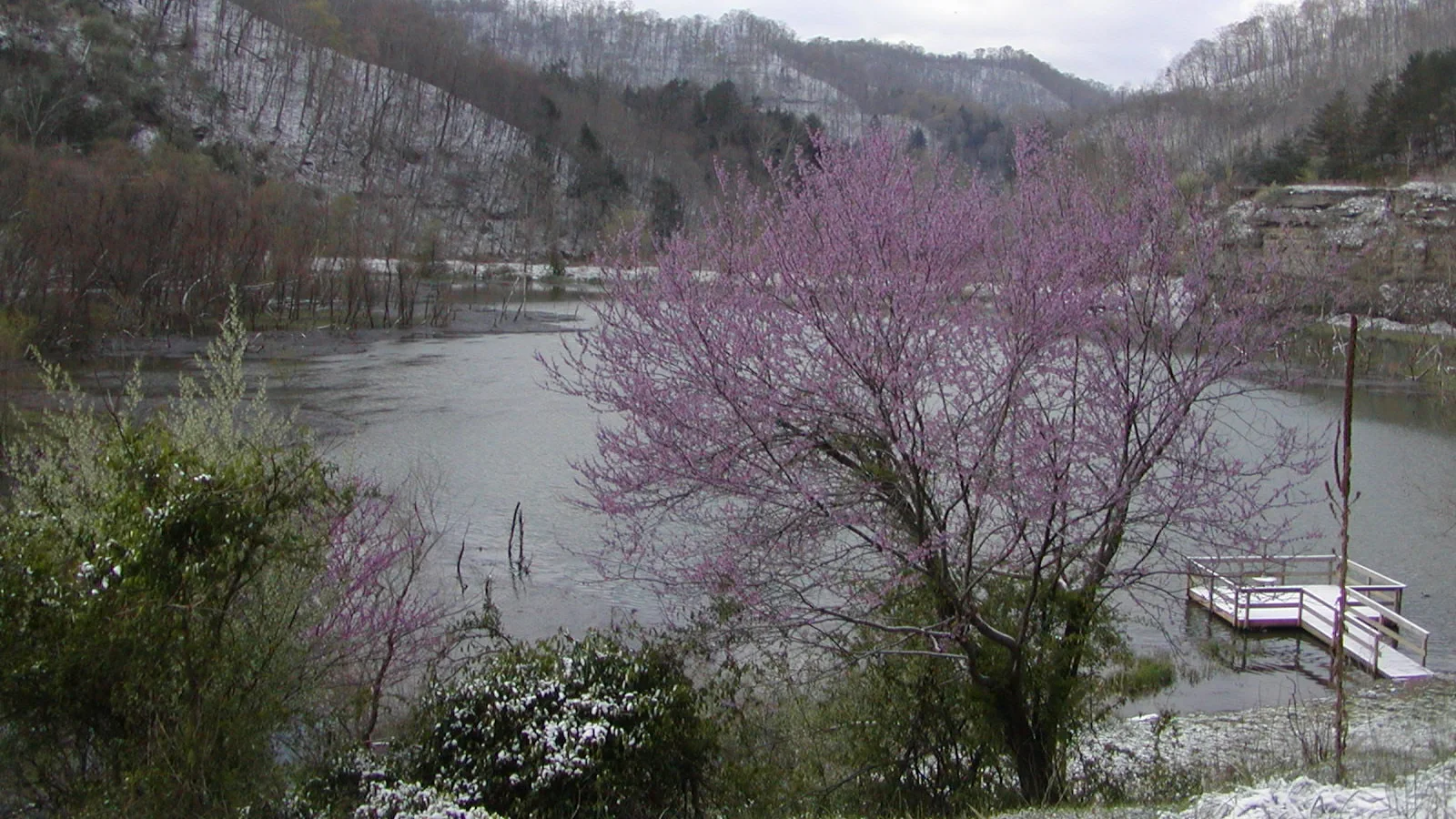 Carr Creek Lake.jpg
