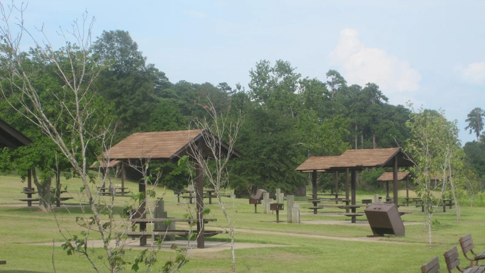 Campsites at Lower Caney Lake near Minden, LA IMG 2182 1.JPG