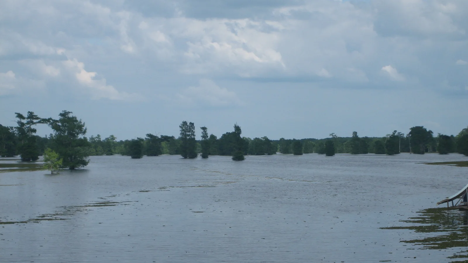 Another view of Lake Bistineau IMG 0592.JPG