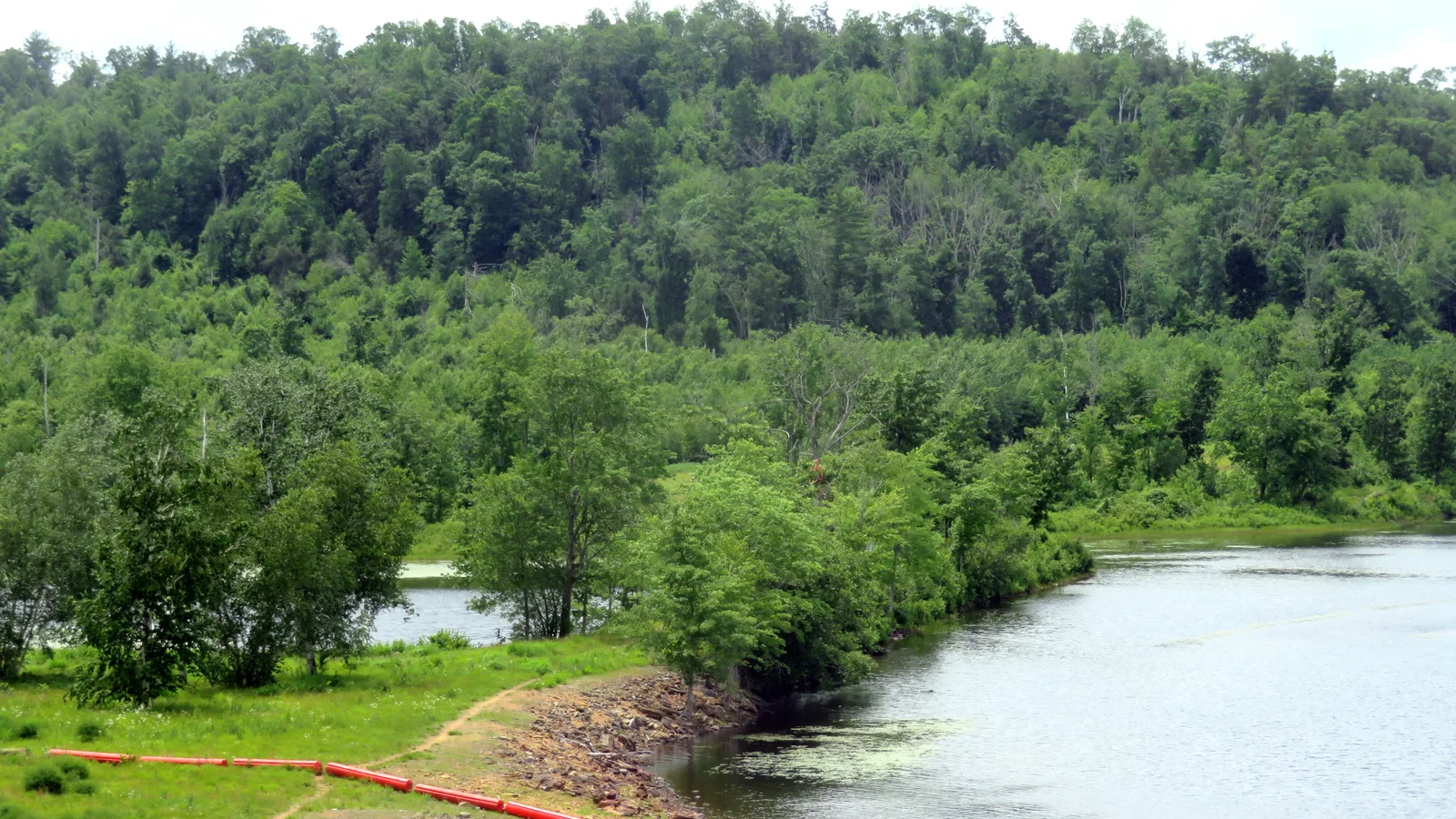 SNE ROW from East Brimfield Dam (2), June 2021.JPG