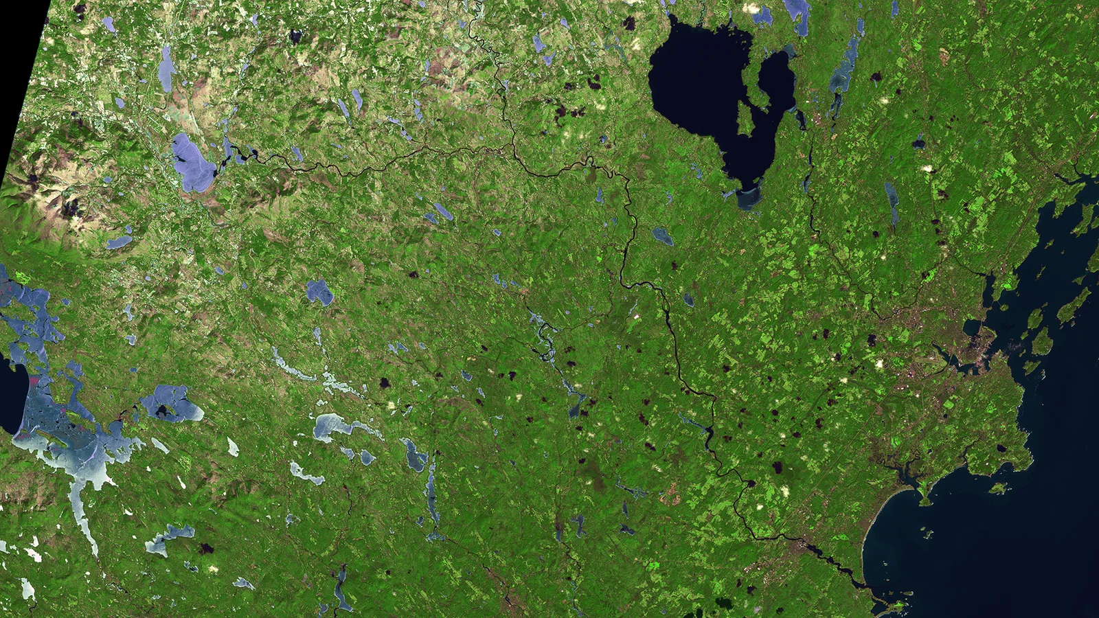 Southern Maine ESA361191.jpg