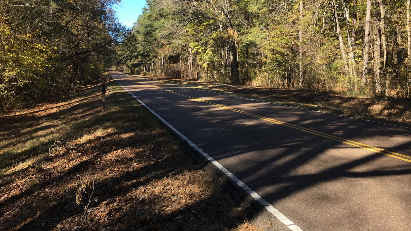Mississippi highway 301.jpg