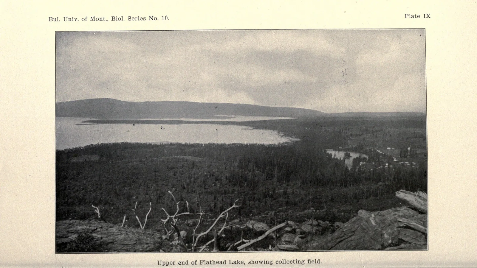 View of Flathead Lake, Montana.