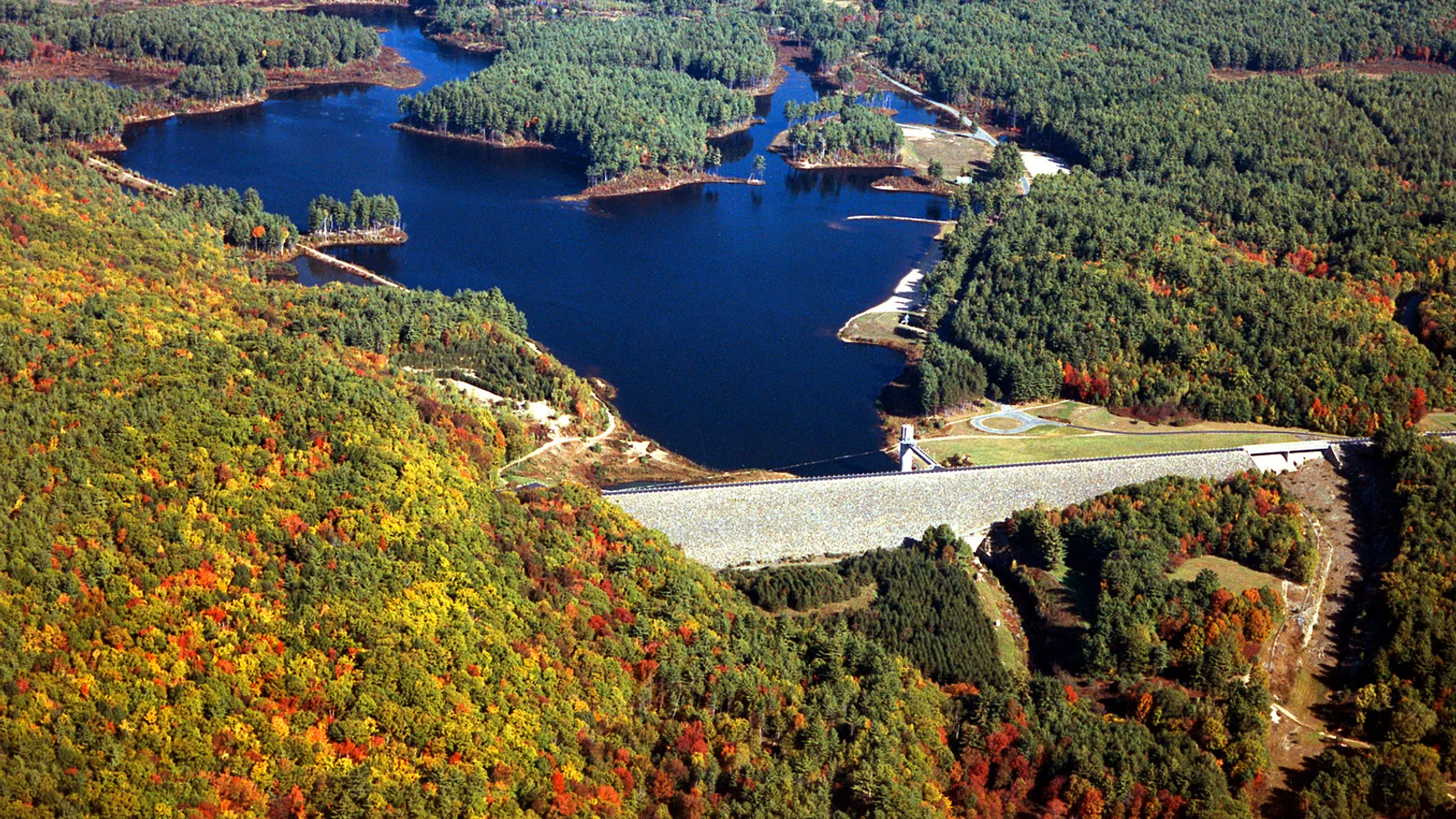 USACE Everett Lake and Dam.jpg
