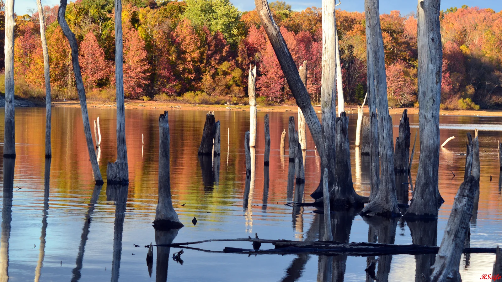 Manasquan Resevoir.jpg