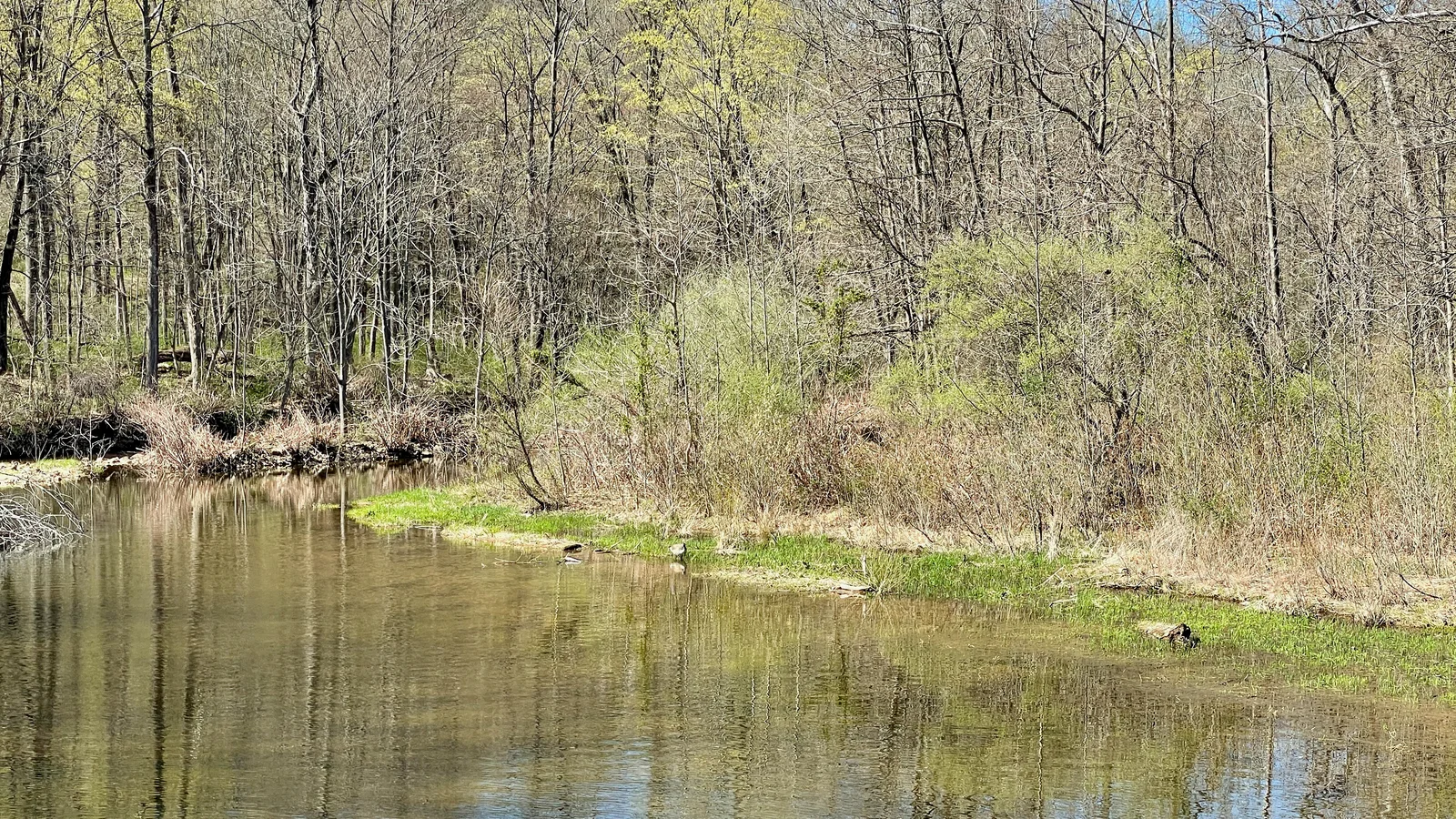 Spruce Run near the Spruce Run Reservoir, NJ.jpg