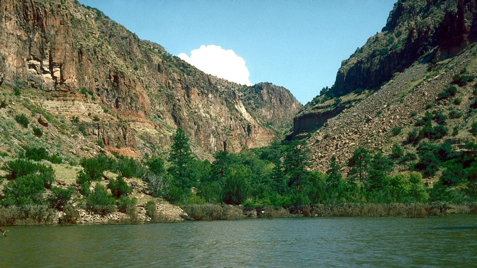 Cochiti Lake shoreline.jpg