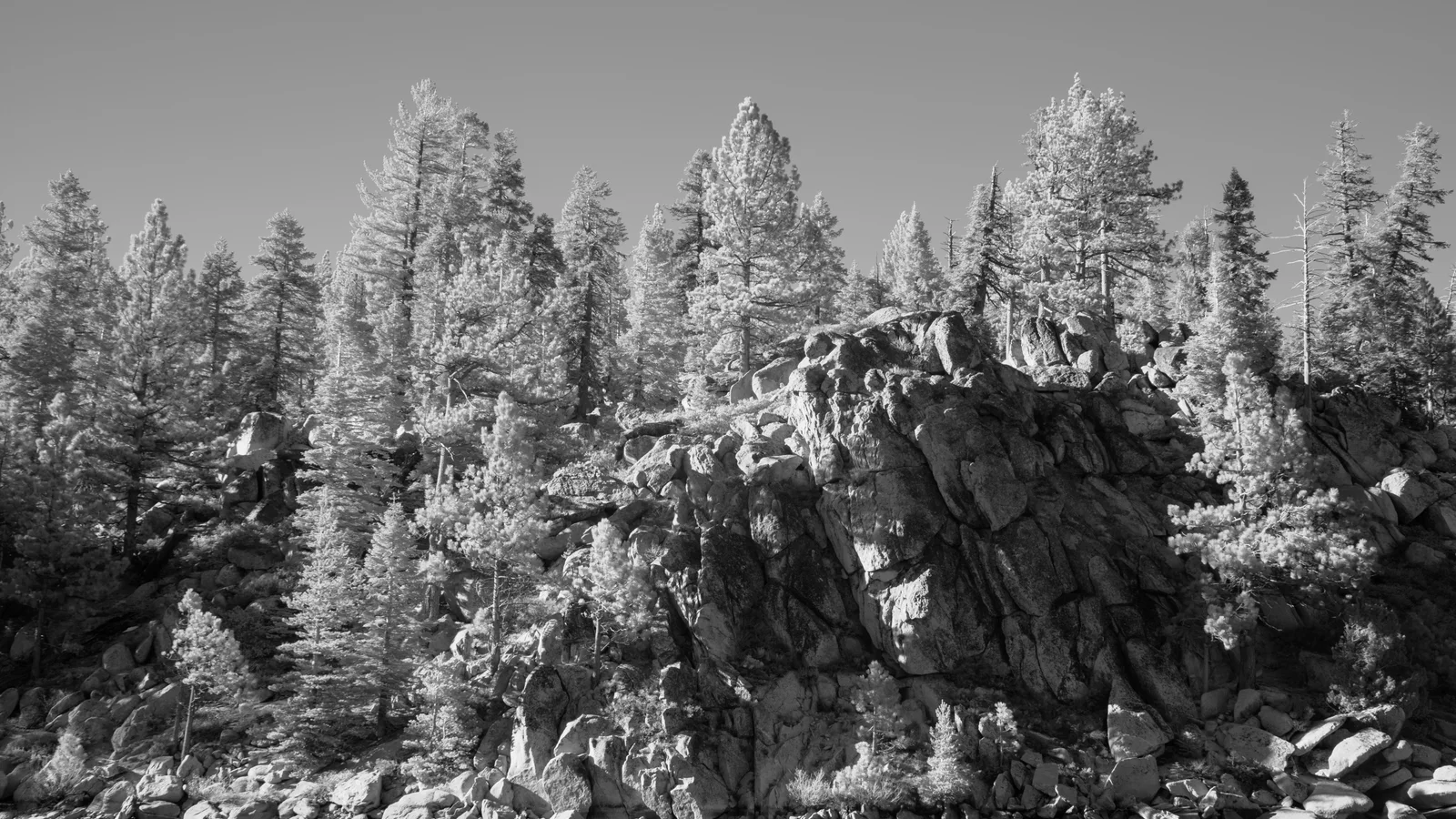 Marlette Lake, Nevada, US.jpg